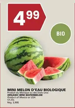 Rachelle-Bery Grocery ORGANIC MINI WATERMELON offer