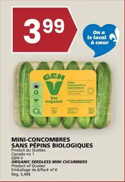 Rachelle-Bery Grocery GEN V ORGANIC SEEDLESS MINI CUCUMBERS offer