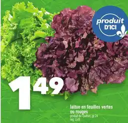 Marche Ami laitue en feuilles vertes ou rouges offer