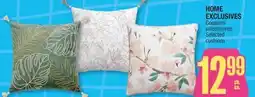 Jean Coutu Cushions offer