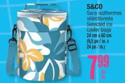 Jean Coutu S&CO Selected ice cooler bags offer