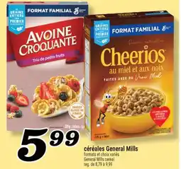 Marché Richelieu CÉRÉALES GENERAL MILLS | GENERAL MILLS CEREAL offer
