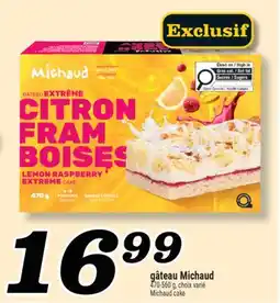 Marché Richelieu GÂTEAU MICHAUD | MICHAUD CAKE offer