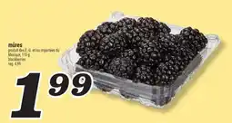 Marché Richelieu mûres | blackberries offer