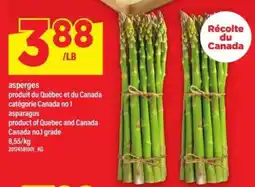 Maxi ASPERGES offer