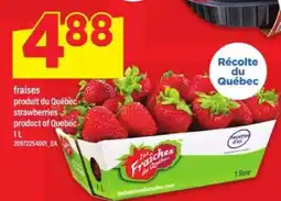 Maxi FRAISES offer