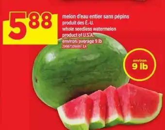Maxi MELON D'EAU ENTIER SANS PÉPINS offer