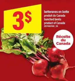 Maxi betteraves en botte offer