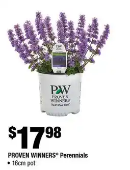 Home Depot Proven winners perennials 16cm pot offer