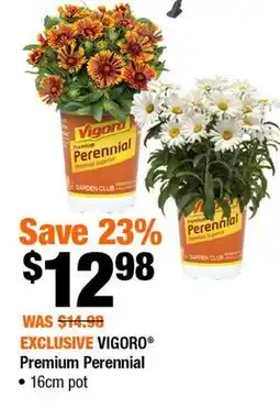 Home Depot Vigoro premium perennial offer