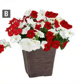 Home Depot Planter offer