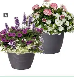 Home Depot Garden party planter 13 pot offer