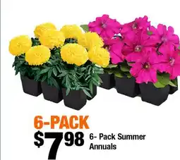 Home Depot 6-pack summer annuals offer