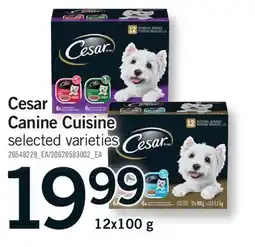 Fortinos CESAR CANINE CUISINE offer