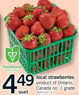 Fortinos LOCAL STRAWBERRIES, quart offer
