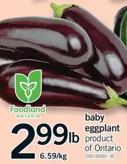 Fortinos BABY EGGPLANT offer