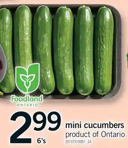 Fortinos MINI CUCUMBERS, 6's offer