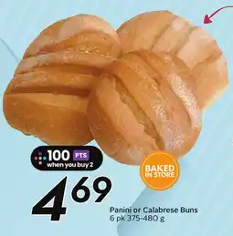 Sobeys Panini or Calabrese Buns offer