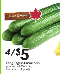 Sobeys Long English Cucumbers offer