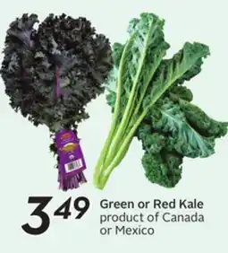 Sobeys Green or Red Kale offer