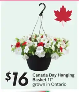 Sobeys Canada Day Hanging Basket offer