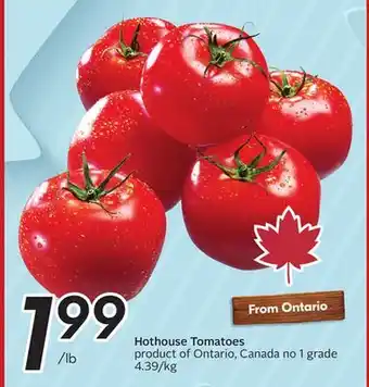 Sobeys Hothouse Tomatoes offer