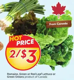 Sobeys Romaine, Green or Red Leaf Lettuce or Green Onions offer