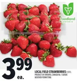 Metro LOCAL FIELD STRAWBERRIES offer