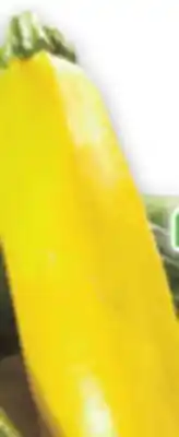 Metro GREEN OR YELLOW ZUCCHINI offer