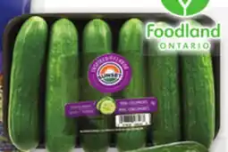 Metro DOLE COLOURFUL COLESLAW, MINI CUCUMBERS offer