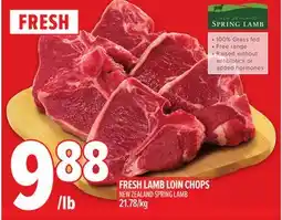Metro FRESH LAMB LOIN CHOPS offer