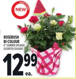 Metro ROSEBUSH BI-COLOUR offer