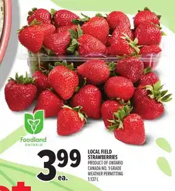 Metro LOCAL FIELD STRAWBERRIES offer