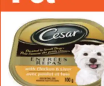 Metro CESAR WET DOG FOOD offer