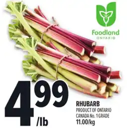Metro RHUBARB offer