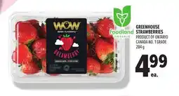 Metro GREENHOUSE STRAWBERRIES offer