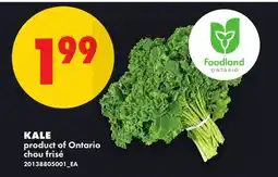 No Frills KALE offer