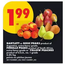 No Frills BARTLETT OR BOSC PEARS, FORELLE PEARS OR YELLOW PEACHES offer