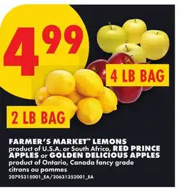 No Frills FARMER'S MARKET LEMONS, 2 LB BAG RED PRINCE APPLES, or GOLDEN DELICIOUS APPLES, 4 LB BAG offer