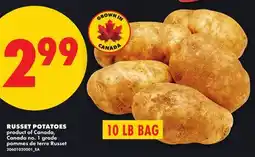 No Frills RUSSET POTATOES, 10 LB BAG offer
