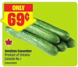 FreshCo Seedless Cucumber, Product of Ontario Canada No. 1 offer