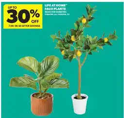 Real Canadian Superstore LIFE AT HOME FAUX PLANTS offer