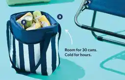 Real Canadian Superstore Everyday Essentials 30 Can Tote offer