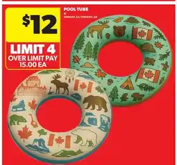 Real Canadian Superstore POOL TUBE offer