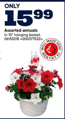 RONA Assorted annuals offer