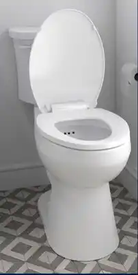 RONA 4.8-L. ALL LANDON & CO. and CRAFT + MAIN toilets offer