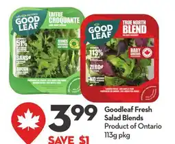 Longo's Goodleaf Fresh Salad Blends offer