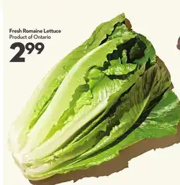 Longo's Fresh Romaine Lettuce offer