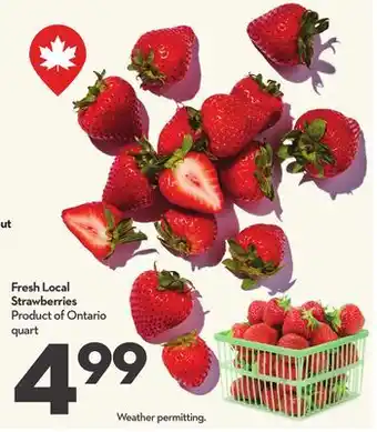 Longo's Fresh Local Strawberries offer