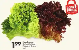 Longo's Fresh Green or Red Leaf Lettuce offer
